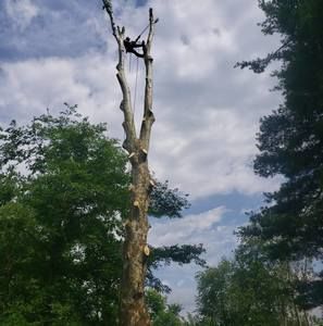 Meet your Posher, Julio